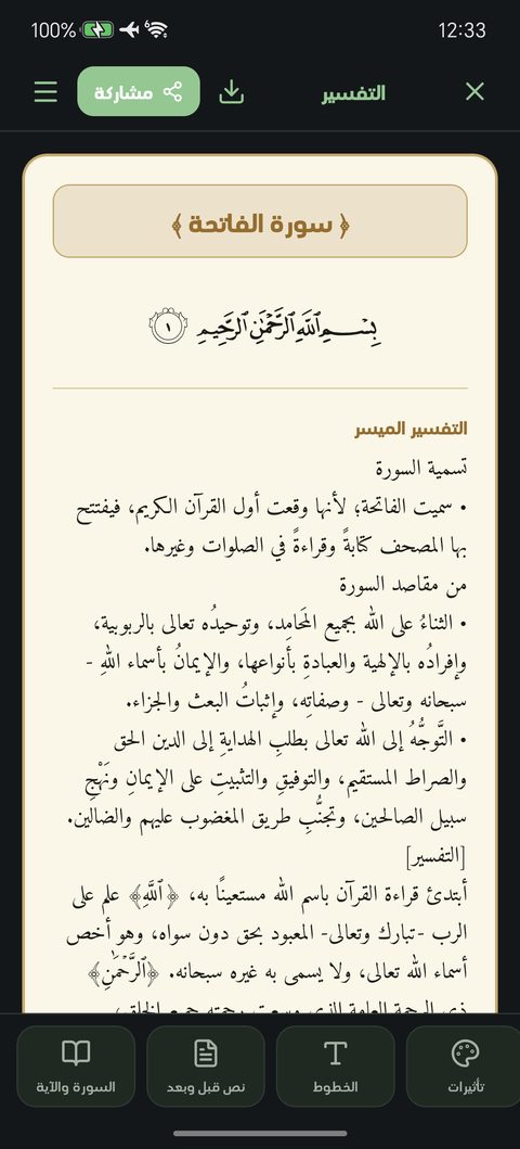شاشة التفسير