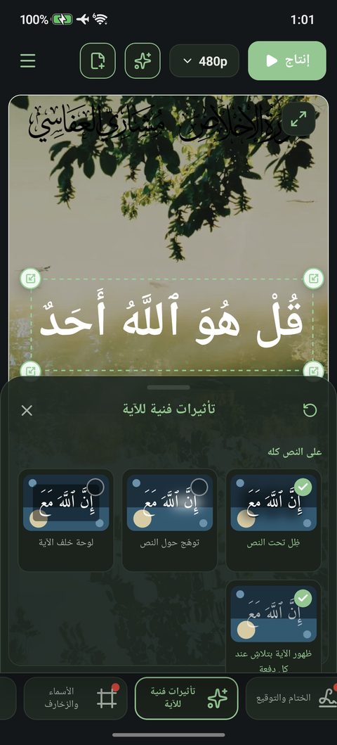 بطاقات التأثيرات وفيها عيّنة متحركة لكل تأثير