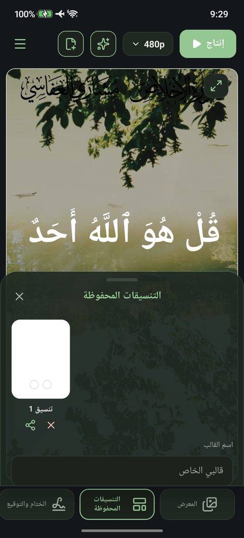 التنسيقات المحفوظة